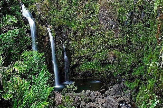 Private Road to Hana Rainforest & Waterfall Experience From Maui - Customizable Itinerary Options