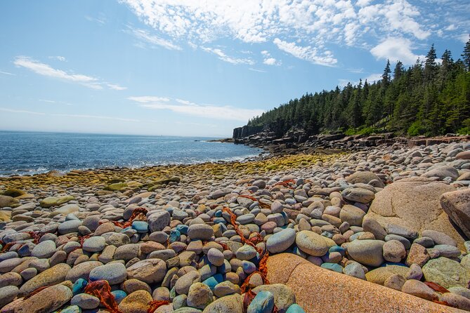 Private Tour Acadia National Park, Fjord - Tour Highlights and Features