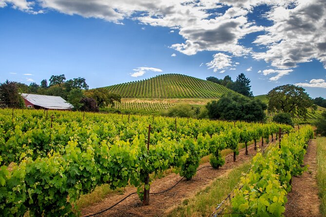 Private Tour Napa and Sonoma Valley Wine - Inclusions