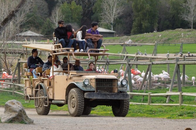 Private Tour of Sonoma Wild Safari Animal Park and Sonoma Redwoods - Transportation and Pickup Details