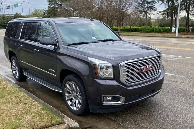 Private Transfer From Honolulu Port to Honolulu Airport (HNL) - Vehicle and Amenities