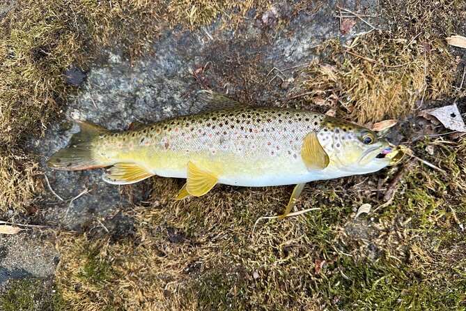 Private Trout Fishing Excursion in Virginia - Meeting and Pickup Details