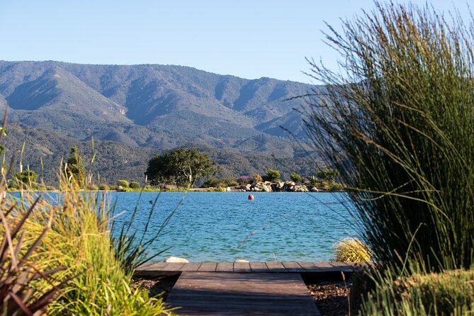 Private Vineyard Tour and Wine Tasting - Meeting and Pickup