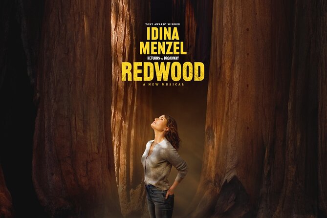 Redwood Starring Idina Menzel on Broadway Ticket - Accessibility and Age Restrictions