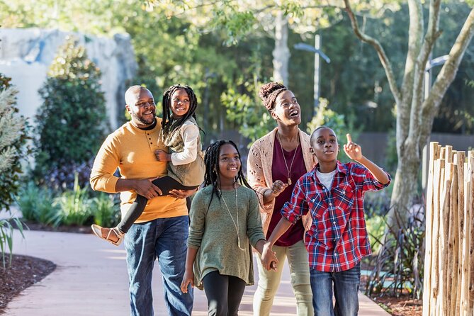 San Antonio Family Discovery: History & Culture - Tour Highlights and Features