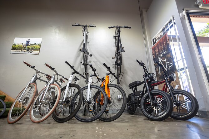 San Diego Ebike Rentals - Experience Californias Finest Scenery - Rental Details