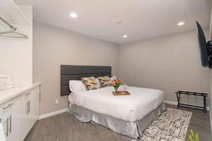 Sands Of La Jolla - Accommodation Offerings