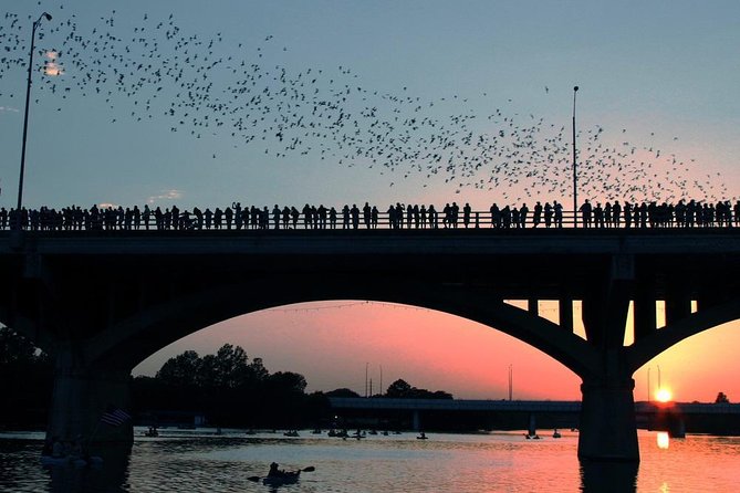 Self-Guided Austin Scavenger Hunt: Birds, Bats, BBQ and Bass - Unique Roles for Participants