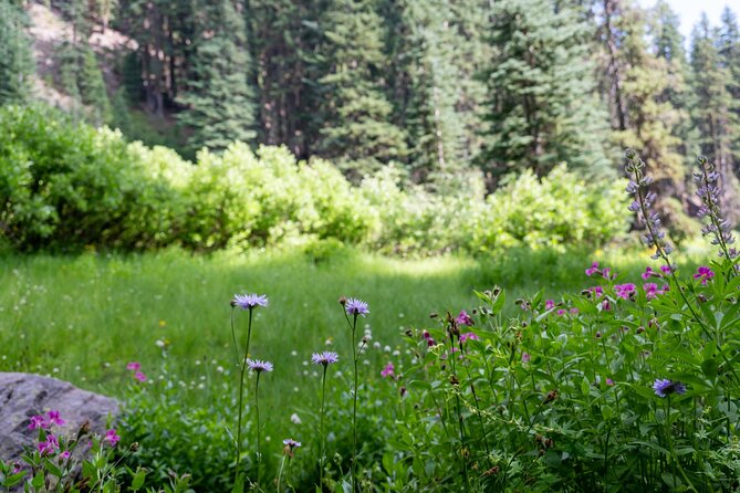 Shaka Guide: Crater Lake National Park Audio Tour Guide - Getting Started With the Tour