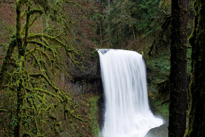 Silver Falls Private Hike Tour - Inclusions
