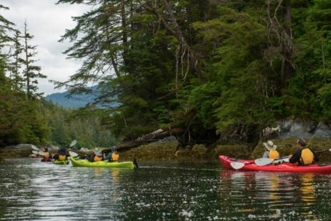 Sitka Shore Excursion: Sitka Harbor & Islands Guided Kayaking - Whats Included in the Excursion