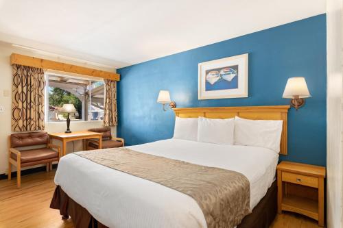 Skylark Shores Resort - Accommodation Options