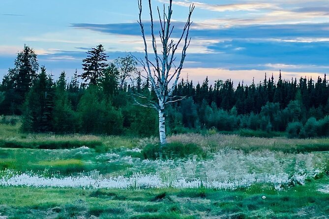 Small Group 18-hole Golf Experience in Fairbanks - Food & Beverage Options