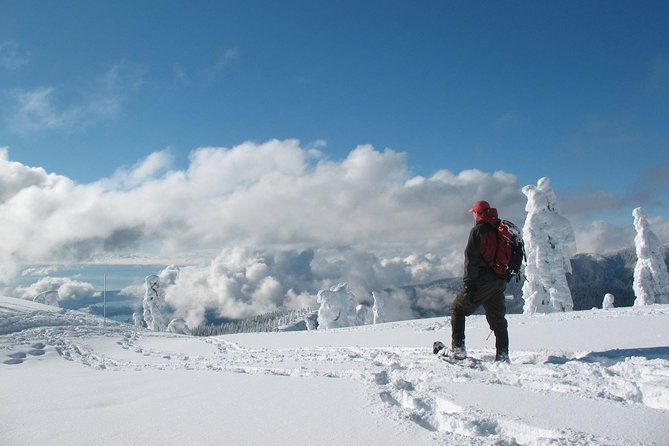 Snowshoeing at Crystal Mountain by Mount Rainier - Embarking on the Snowshoe Trek