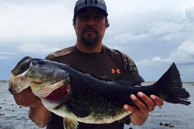 St Johns River Fishing Trip Near Daytona - Gear and Equipment Provided