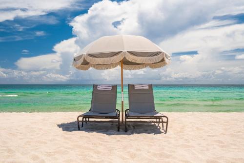 The Plymouth South Beach - Dining and Culinary Experiences