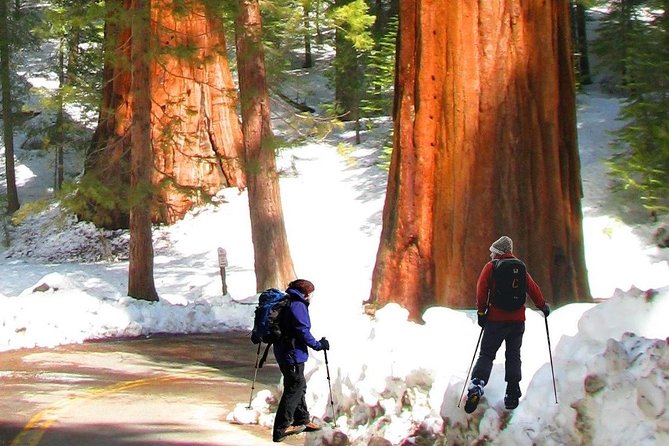 The Ultimate Yosemite and Lake Tahoe 5-Day Bucket List Experience - Unforgettable Accommodations During Your Stay