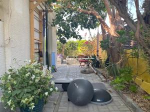 Tropicana Guestroom 7 Min Walk From the Beach - Accommodations and Amenities