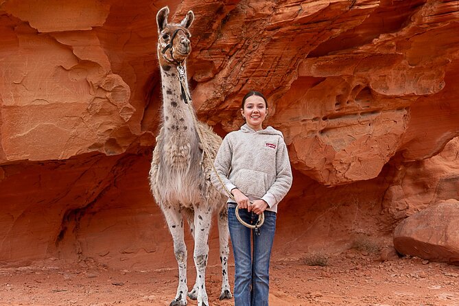 Valley of Fire Llama Hikes - Unique Outdoor Experience