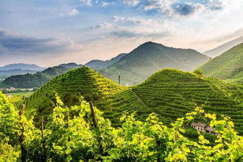 Villa Abbazia Relais & Chateaux - Accommodations