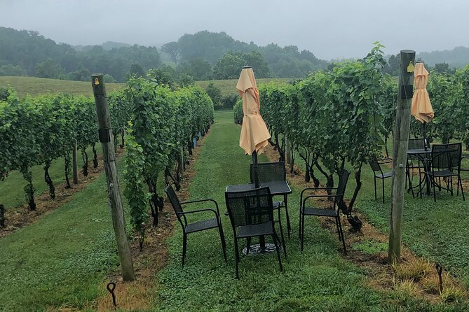 Virginia Winery Excursion By Luxury Vehicle 2-Wineries - Explore Virginias Premier Wineries