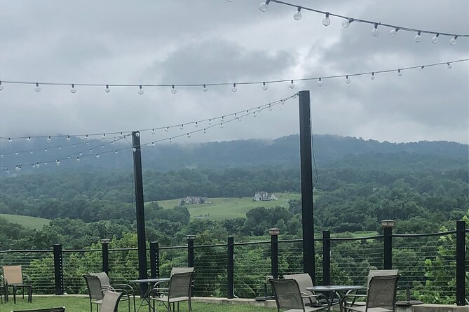 Virginia Winery Excursion by Luxury Vehicle Three Wineries - Transportation Details