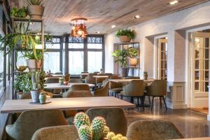 Wolf Mountain Hotel Restaurant - Accommodation Options