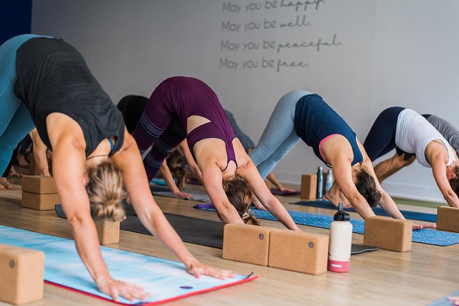 Yoga Classes - Pricing and Booking