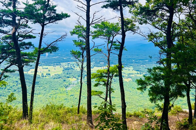 Yonah Mountain Hike Private Tour in Georgia - Inclusions and Amenities