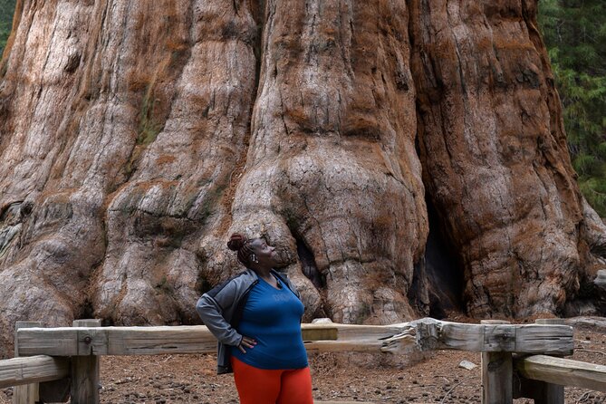 2 Days Private Tour to Sequoia and Kings Canyon Parks From LA - Inclusions