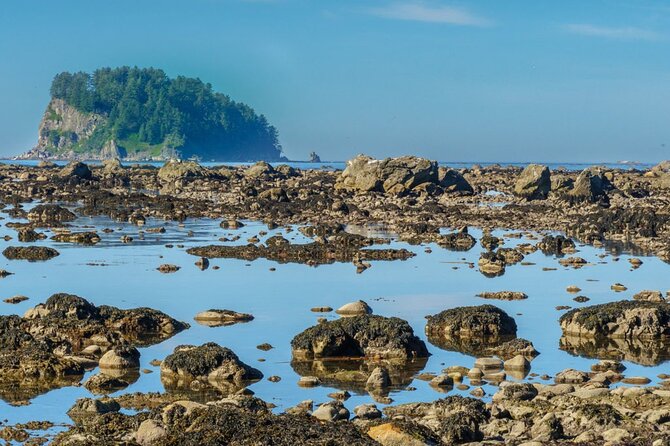 3-Day Olympic Backpacking - The Ozette Coast - Camping on the Beach