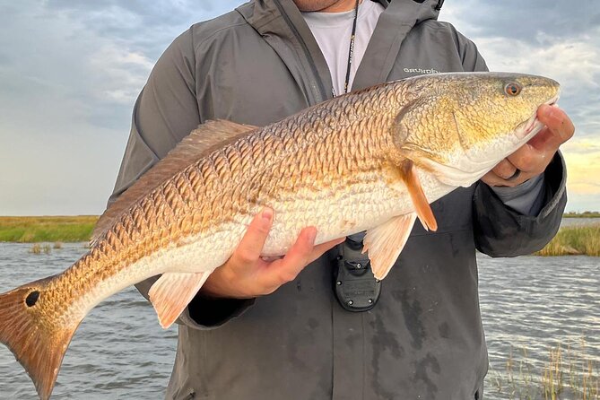 6 Hour Family Friendly Fishing Charter in Sarasota, Siesta Key - Meeting and Pickup Details