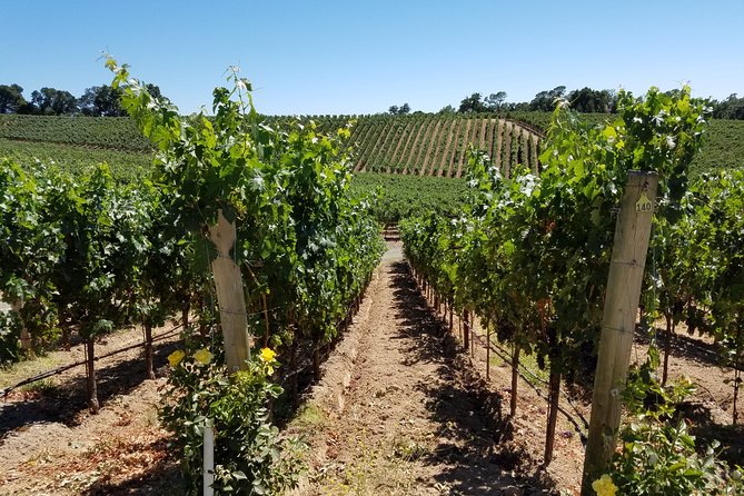 6 Hour Variety Wine Vineyard Tour in Napa Valley - Inclusions and Expenses