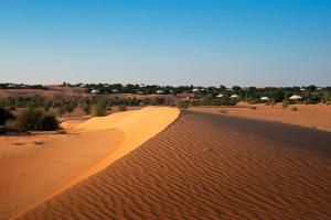 Al Maha, a Luxury Collection Desert Resort & Spa, Dubai - Culinary Delights