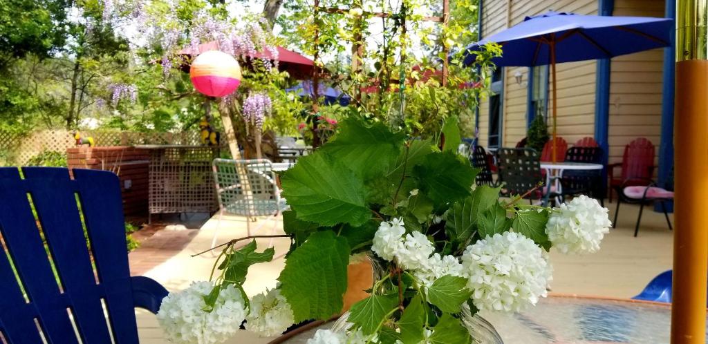 American River Inn Review