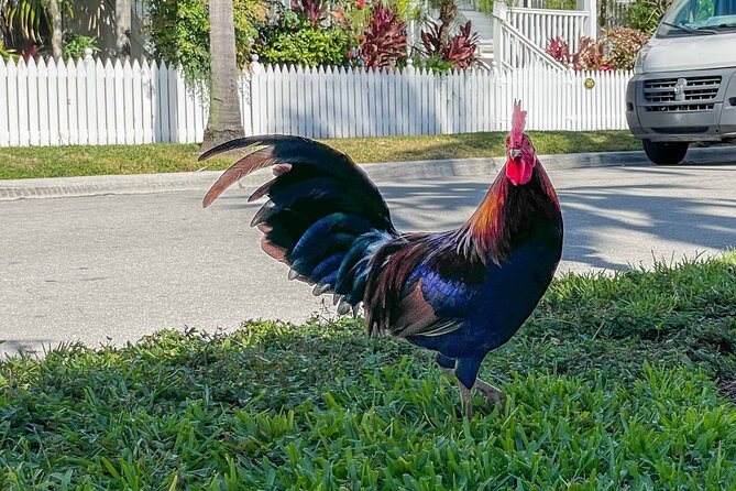 An Audio Guide of Key West's Journey From Village to Micro State - Key Wests Transformation Into a Prosperous Seaport