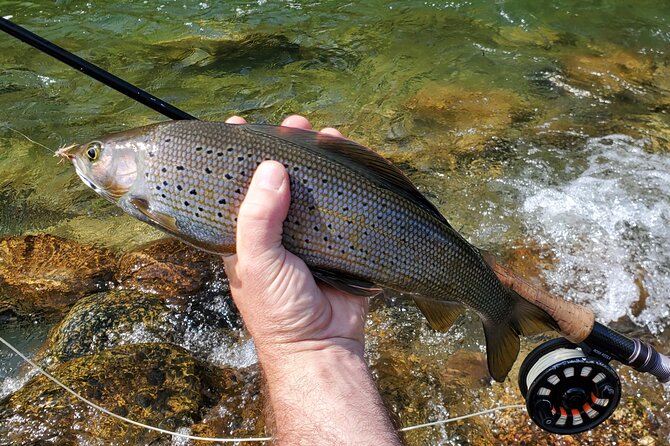 Anchorage Guided Fly-fishing - Cancellation Policy and Booking