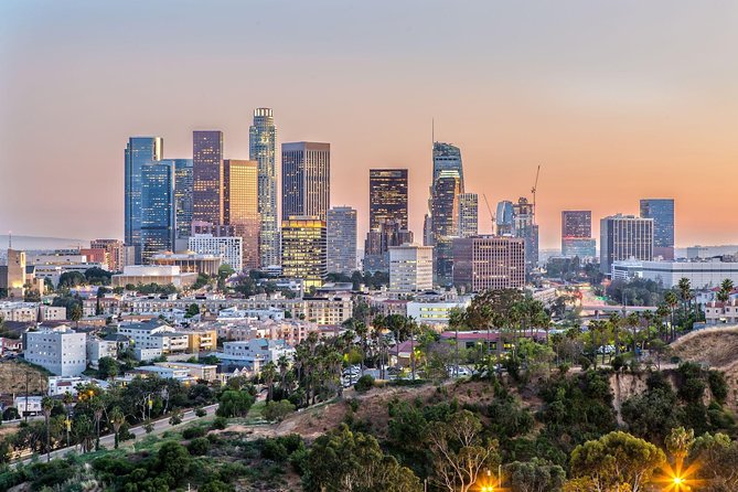 Arrival Private Transfer: Airport LAX to Los Angeles in Luxury Car - Vehicle Options