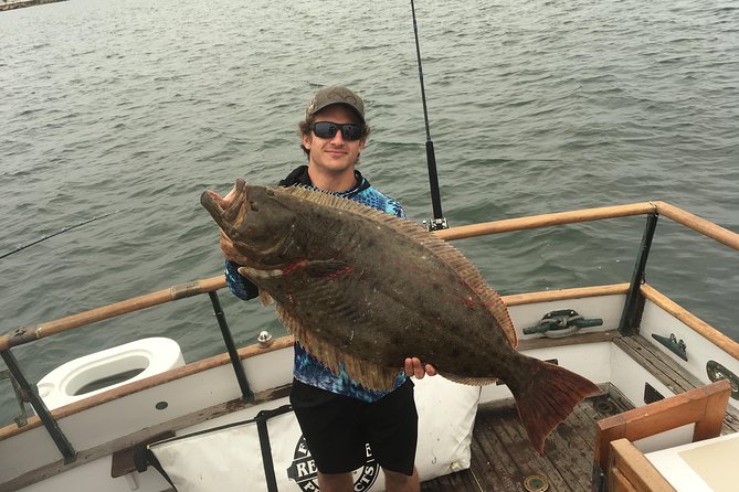 Bay Fishing Charter - Marine Life and Scenery