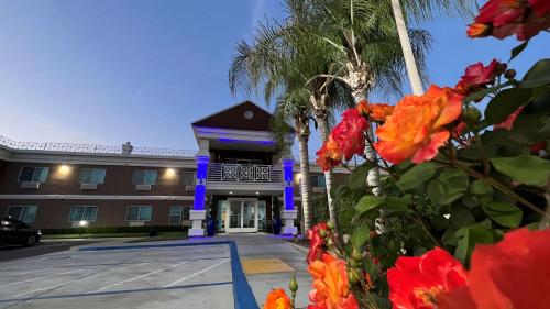 Best Western Americana - Room Amenities