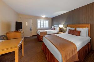 Best Western Plus Pavilions - Facilities and Amenities
