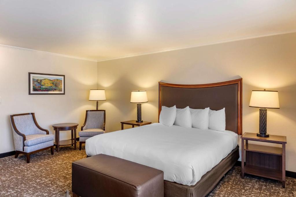 Best Western Plus Royal Oak Hotel - Guest Experience and Reviews