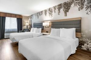 Best Western Plus Vineyard Inn - Policies and Restrictions