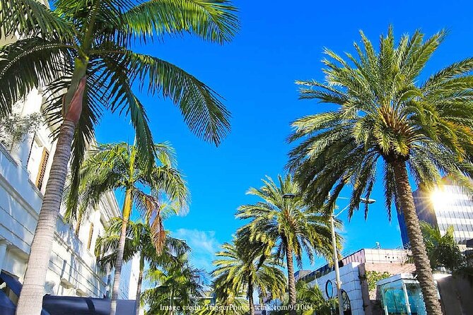Beverly Hills & Rodeo Drive: Private 2-hour Walking Tour - Accessibility Features