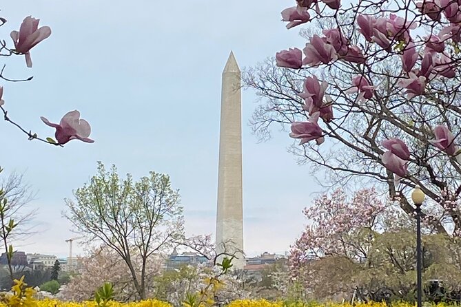 Beyond the Closet Walking Tour - Pricing and Booking Information