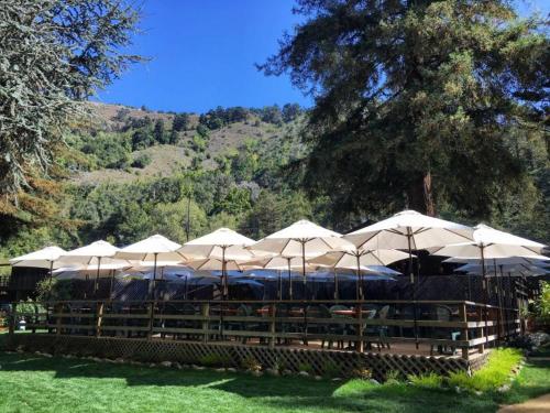 Big Sur River Inn - Guest Experience and Reviews