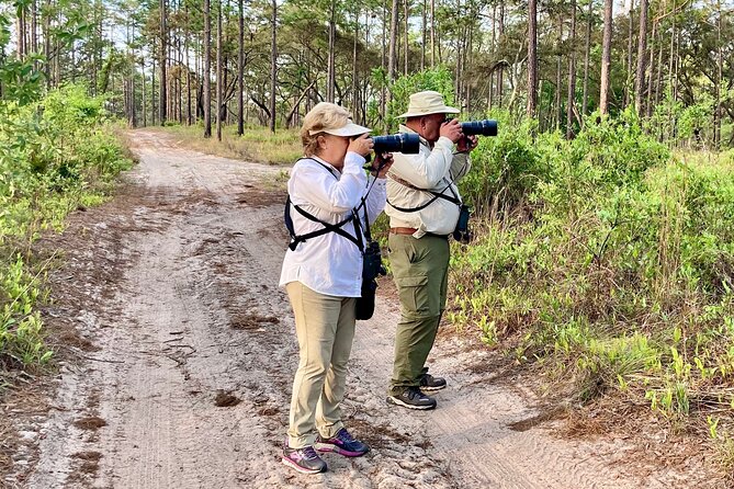 Birding and Wildlife Tour of Floridas Treasure Coast - Meeting and Pickup Details