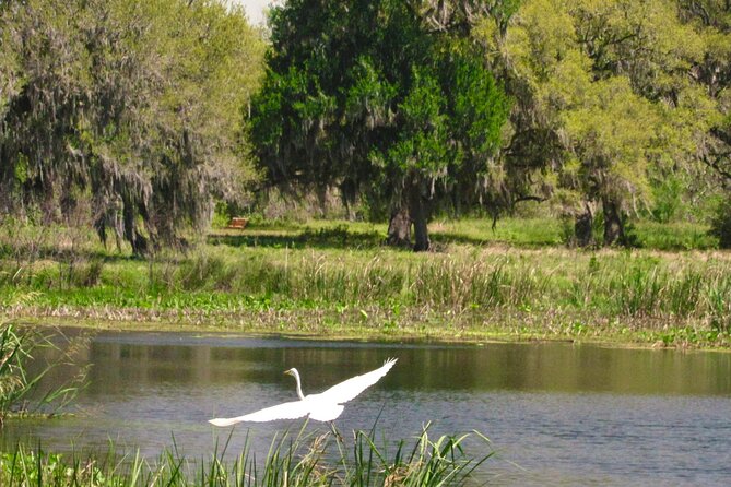 Brazos Bend Wildlife and Nature Tour - Pickup and Drop-off Information