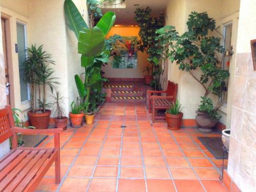 Casa Mariquita Hotel by Omeo - Amenities and Facilities