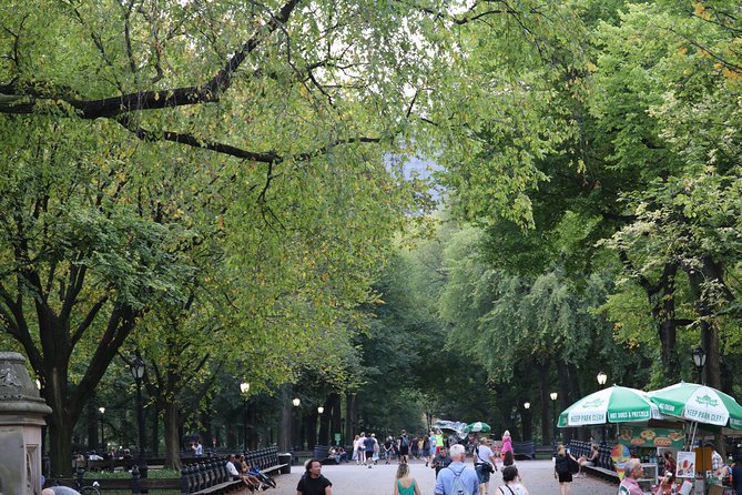 Central Park VIP Tour (All Park Tour up to 2 Hour With Unlimited Stops) Pedicab - Why Choose a Pedicab Tour?